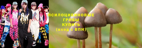 мдма Богданович