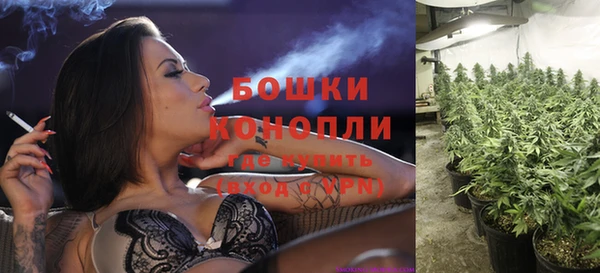 гашик Беломорск