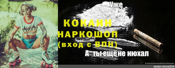 эйфоретик Белокуриха
