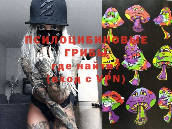 мдпв Снежногорск