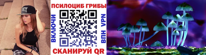 МЕГА как войти Светлый маркетплейс формула Галлюциногенные грибы Psilocybine cubensis