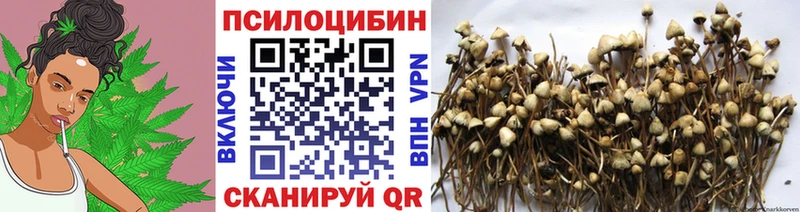 Псилоцибиновые грибы GOLDEN TEACHER Светлый
